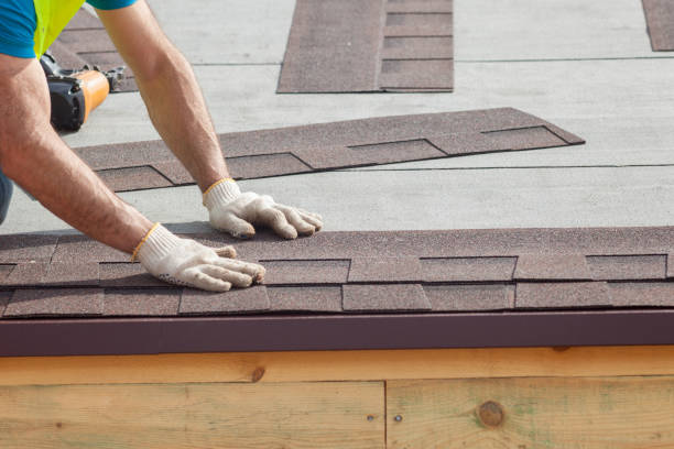 Best Chimney Flashing Repair  in Fruita, CO
